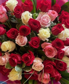 Roses