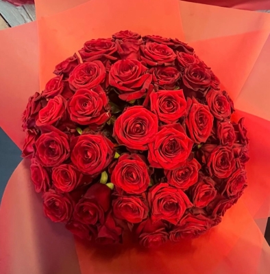 50 Roses