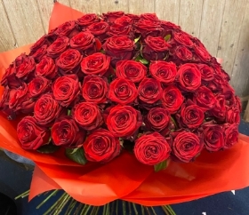 100 Roses
